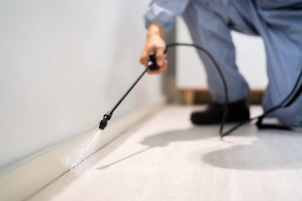 Certified termite inspector examining foundation in Lewiston
