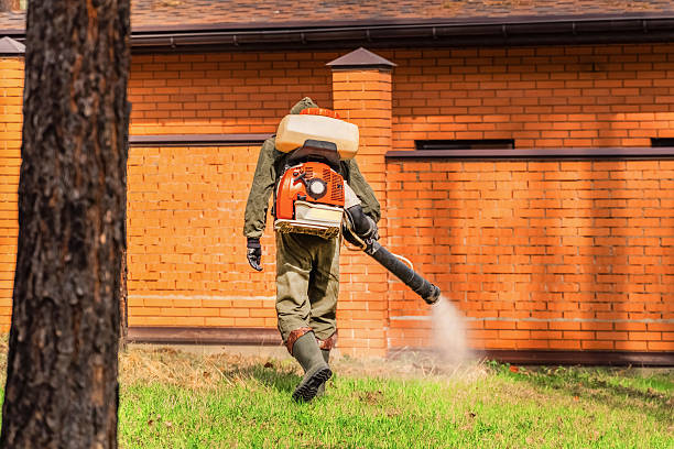 Bed Bug Clearance Verification and Documentation in Lewiston